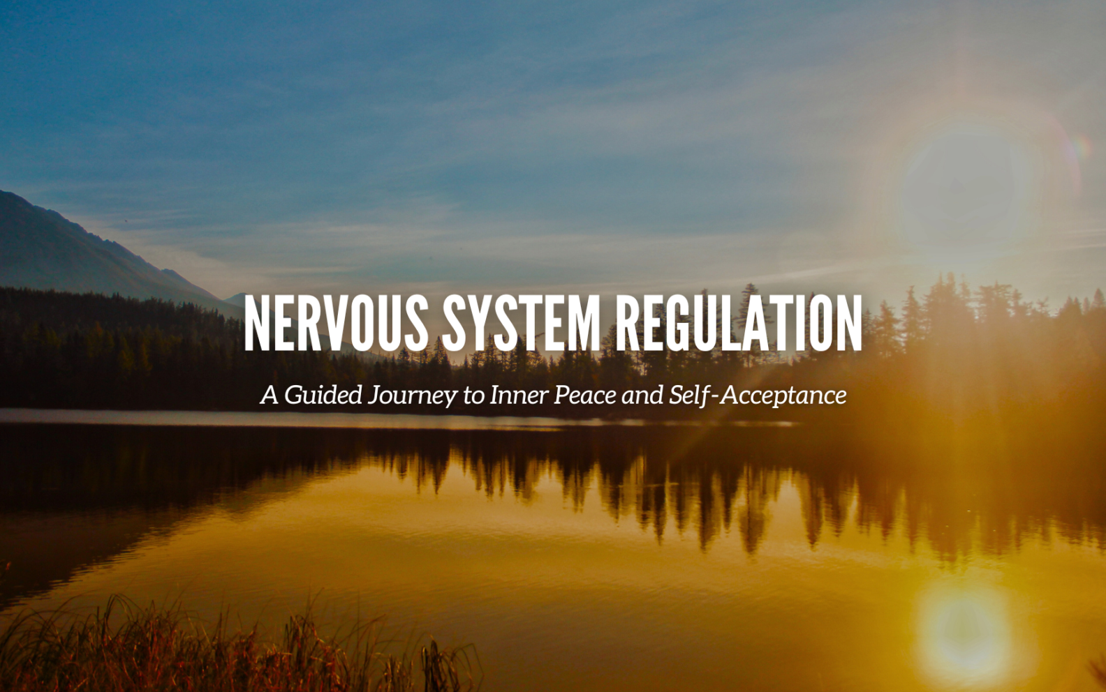 Nervous System Regulation