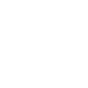 Nina Saurer Logo Watermark